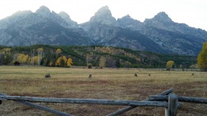Tetons.Deer.Cabin.2012
